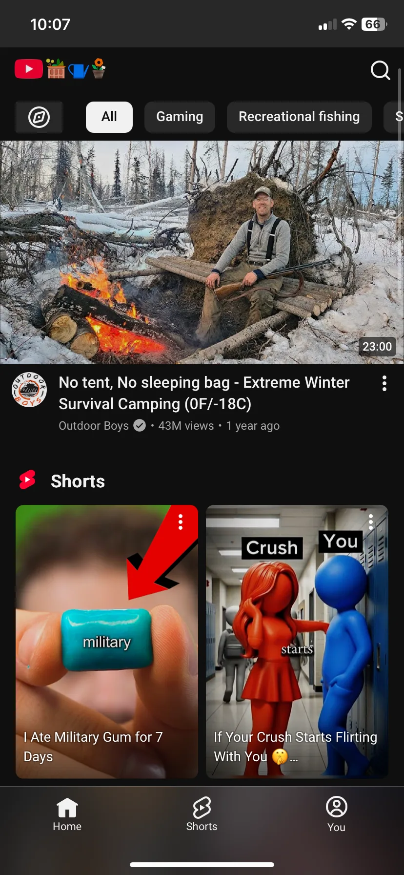 Regular YouTube with a row of Shorts in the feed